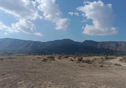 Land in Salinas