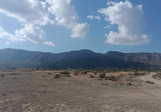 Land in Salinas