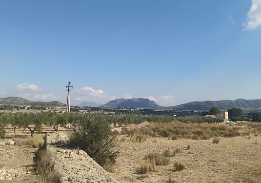 Land in Salinas