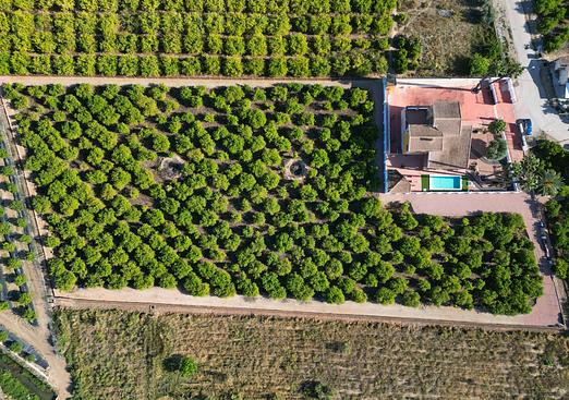 Finca in Orihuela
