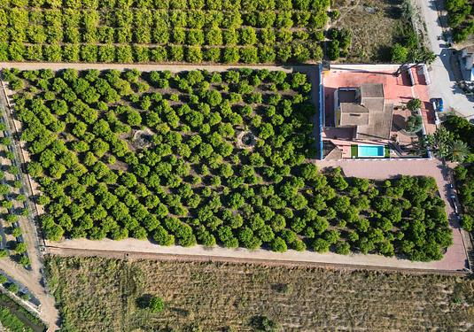 Finca in Orihuela