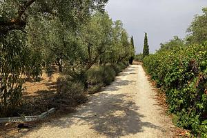 thumb 46