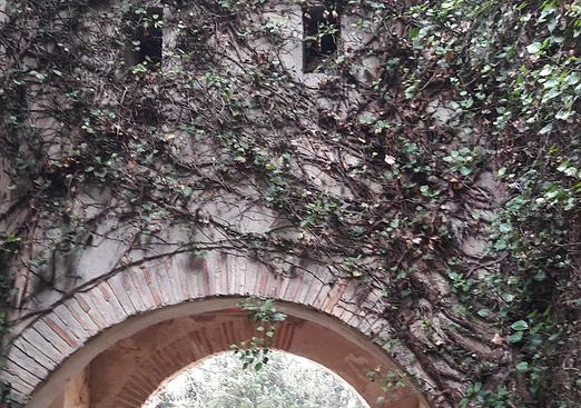 Country house in Caravaca de la Cruz
