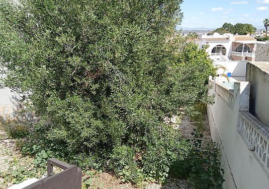 Semi detached in Torrevieja