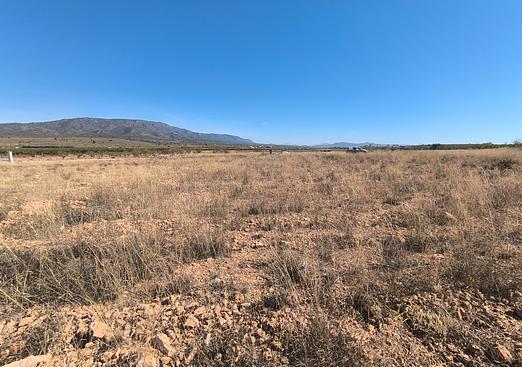 Land in Pinoso