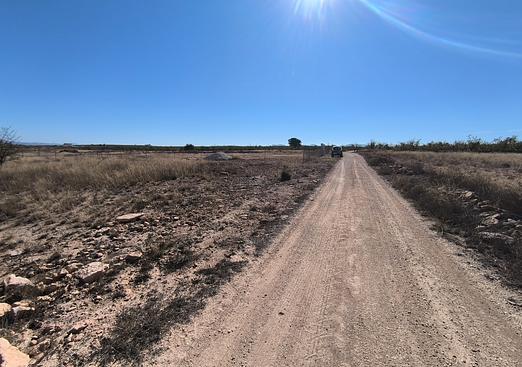 Land in Pinoso