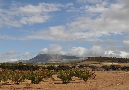Parking  in Jumilla