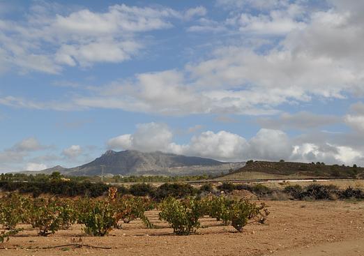 Parking  in Jumilla