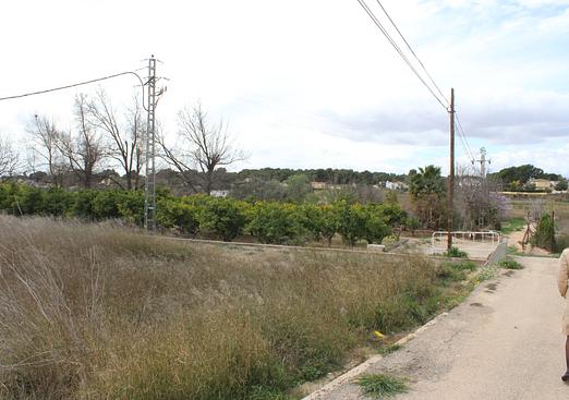 Land in L'Eliana