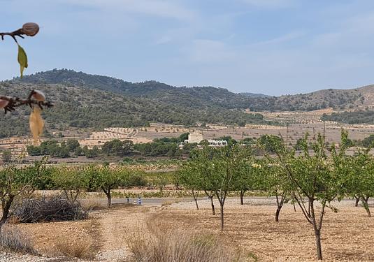 Land in Algueña