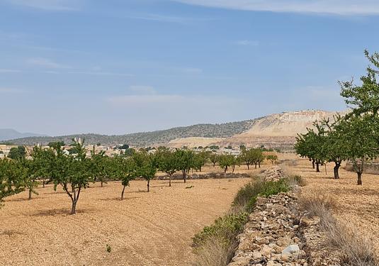 Land in Algueña