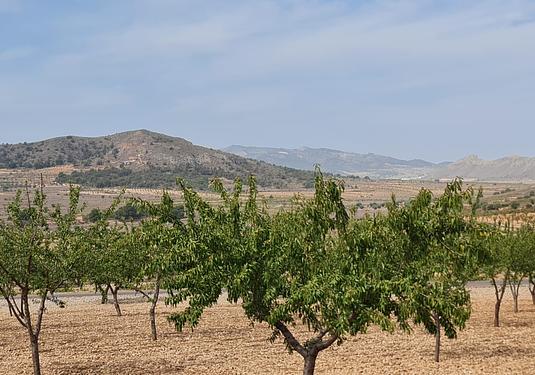 Land in Algueña