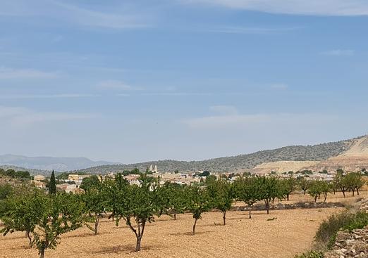 Land in Algueña