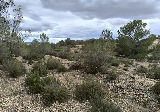 Land in Monóvar/Monóver