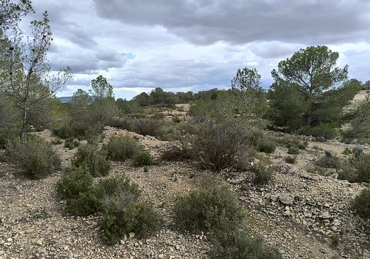 Land in Monóvar/Monóver
