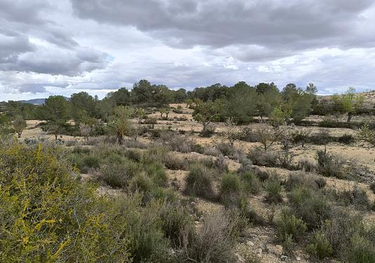 Land in Monóvar/Monóver