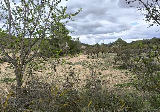 Land in Monóvar/Monóver