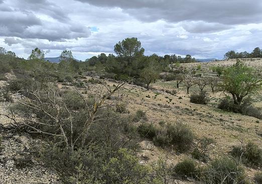 Land in Monóvar/Monóver