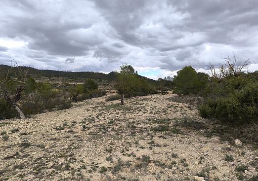 Land in Monóvar/Monóver