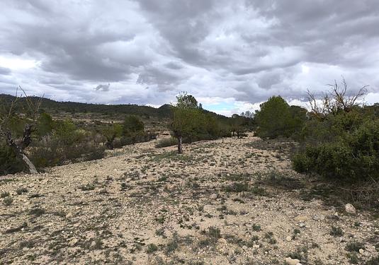 Land in Monóvar/Monóver