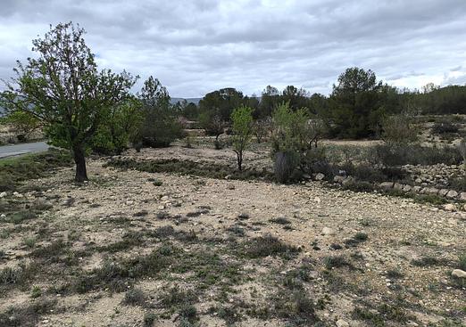 Land in Monóvar/Monóver