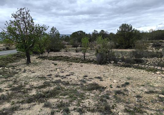 Land in Monóvar/Monóver