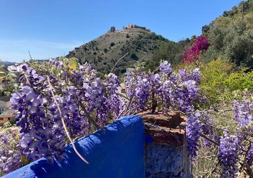 Finca in Alora