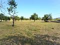 Land in Arta