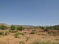 Land in Pinoso