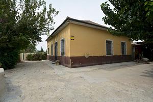 thumb 44
