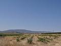Land in Pinoso