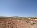 Land in Pinoso