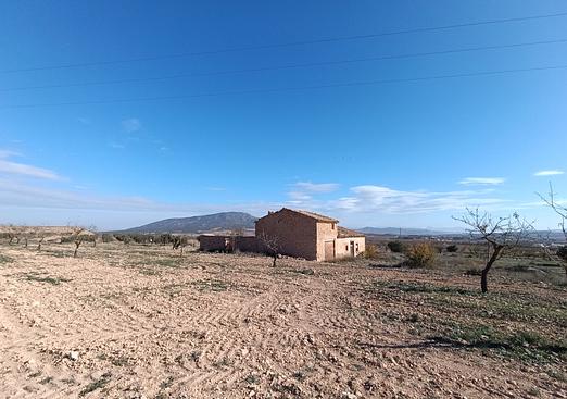 Other in Yecla