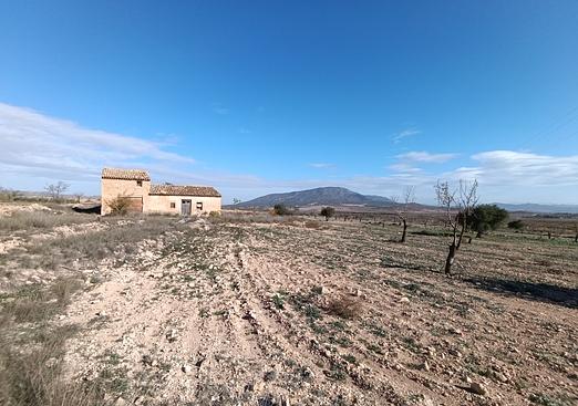 Other in Yecla