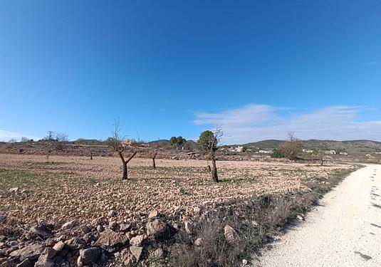 Other in Yecla