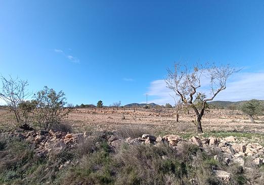Other in Yecla