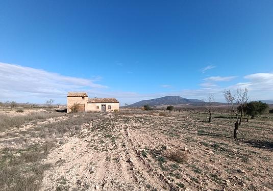 Other in Yecla