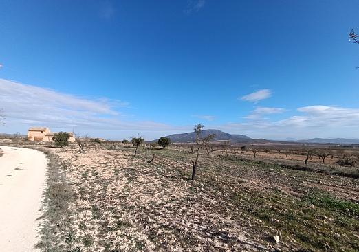 Other in Yecla