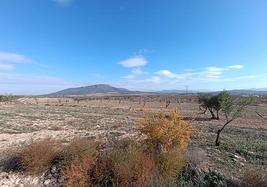Other in Yecla