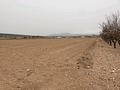 Land in Pinoso