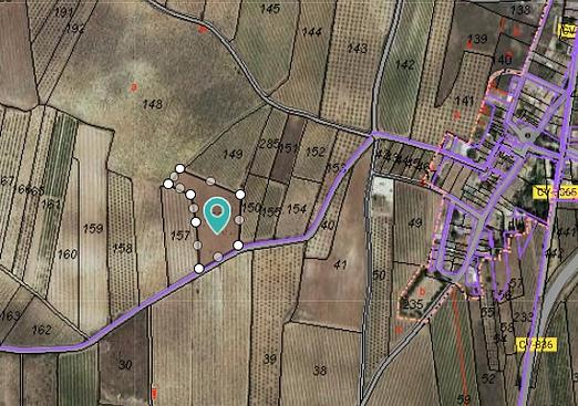 Land in Pinoso