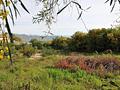 Land in Alhaurin el Grande