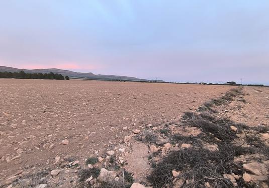 Land in Yecla