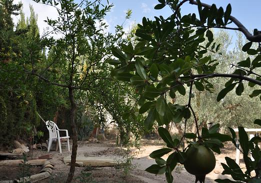 Country house in Pinoso