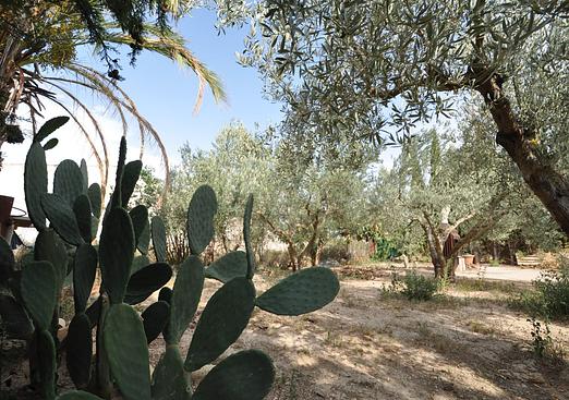 Country house in Pinoso