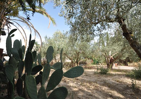 Country house in Pinoso