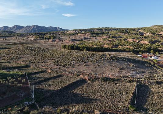 Land in Yecla