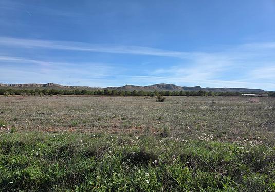 Land in Yecla