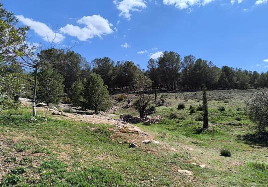 Country house in Villena