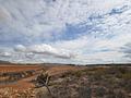 Land in Pinoso